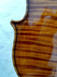 Partial view of the maple back of a 19th century Vuillaume violin